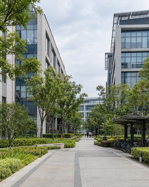 园区楼宇之间的绿化步道