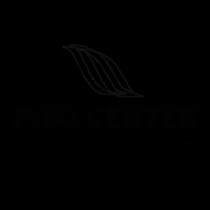 Logo Piqo Center